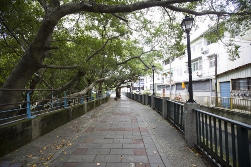 打通1.4公里汀甫圳通學步道 串聯六校園、十八尖山打造親水步行綠廊